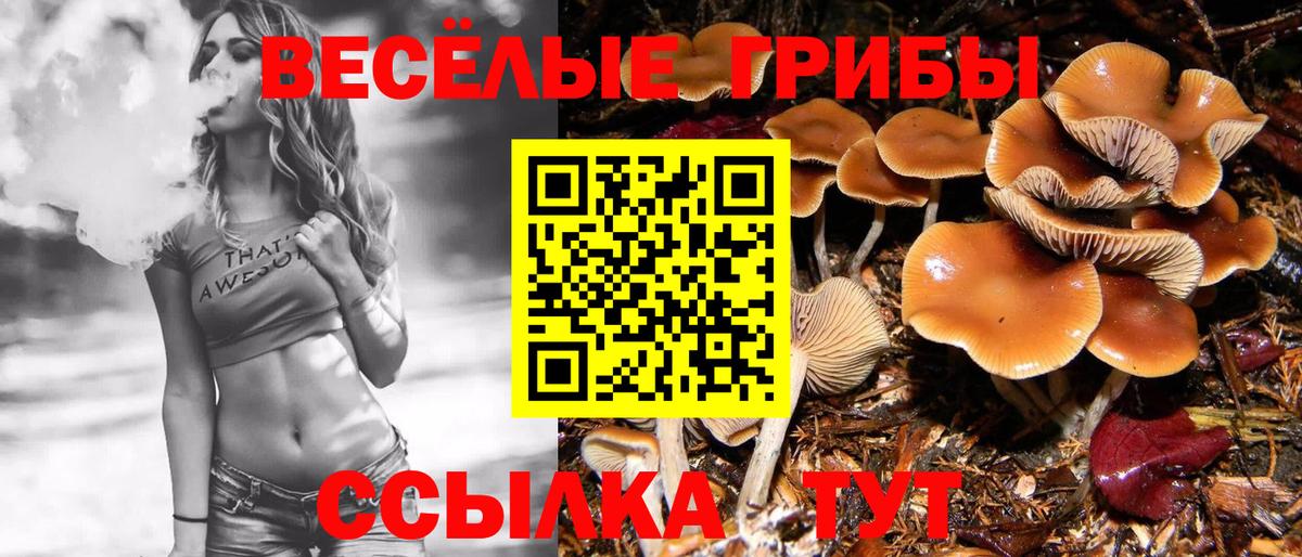 Галлюциногенные грибы Cubensis  Вход с VPN  купить наркотики сайты  Домодедово 