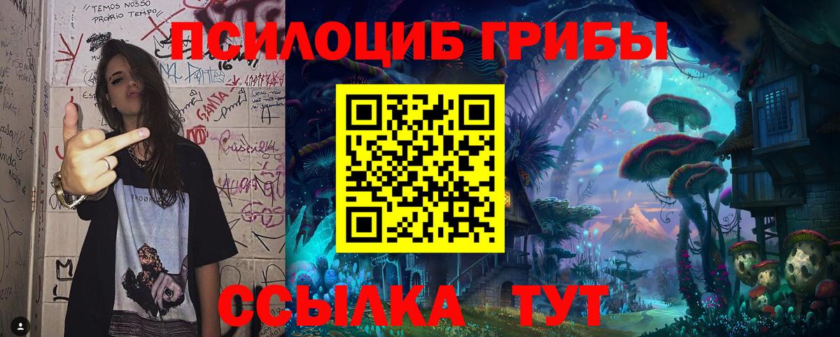 Псилоцибиновые грибы мицелий Домодедово